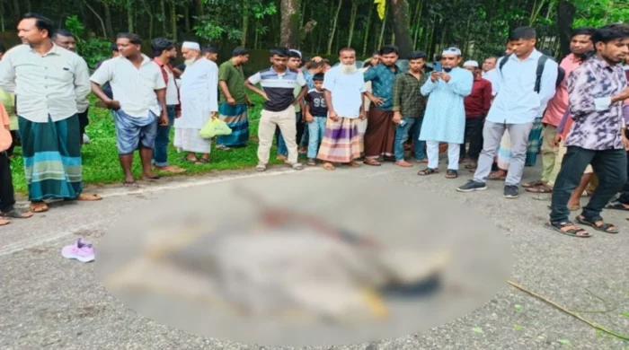 সিলেট-তামাবিল সড়কে বাসচাপায় কিশোরী নিহত
