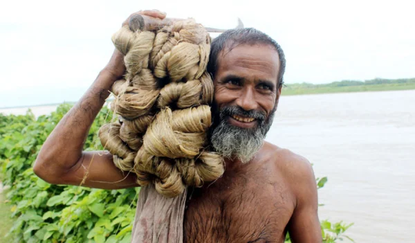 পাটের ভালো দামে শাহজাদপুরের কৃষকের মুখে হাসি