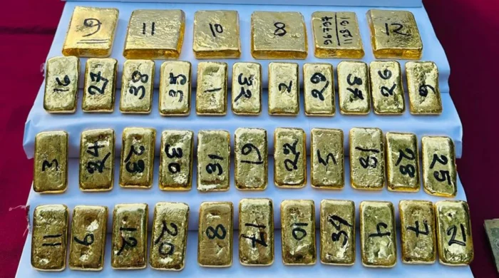দর্শনা সীমান্তে বিপুল স্বর্ণসহ পাচারকারী আটক