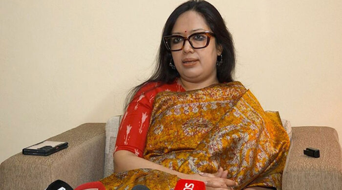 দেশে সরকার আছে কি না, প্রশ্ন তুললেন রুমিন ফারহানা