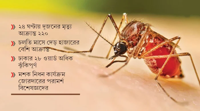 সেপ্টেম্বরে ডেঙ্গু সংক্রমণ সর্বোচ্চ হওয়ার শঙ্কা