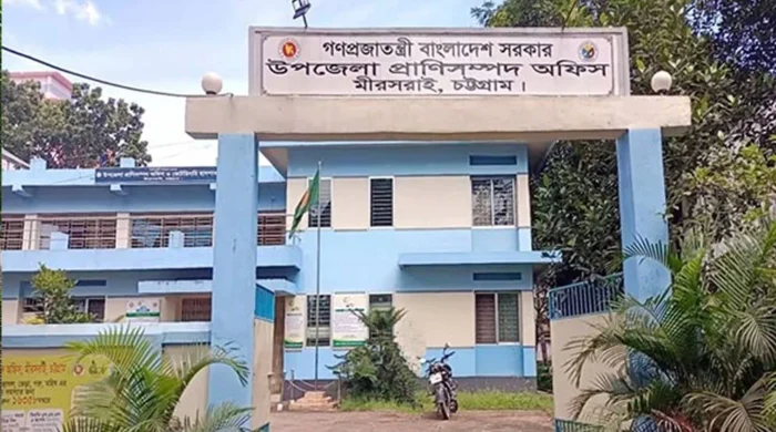 জনবল সংকটে বন্ধ দুই উপকেন্দ্র, বিপাকে খামারিরা