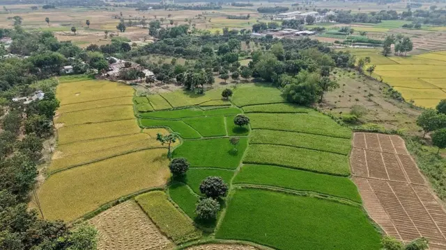 নামজারিতে নতুন নিয়ম, জমির মালিকদের সতর্কতা জরুরি
