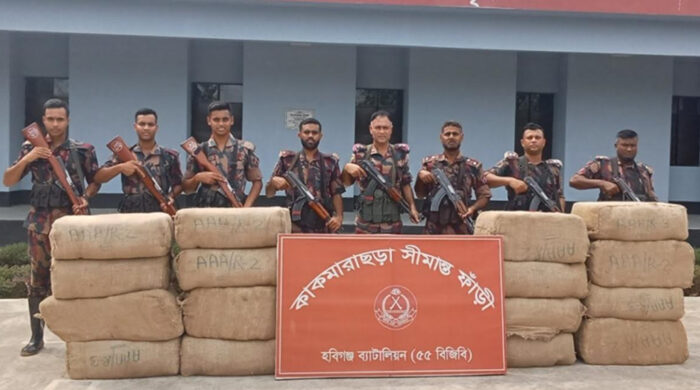 সীমান্তে ৬৬ লাখ টাকার ভারতীয় পণ্য জব্দ