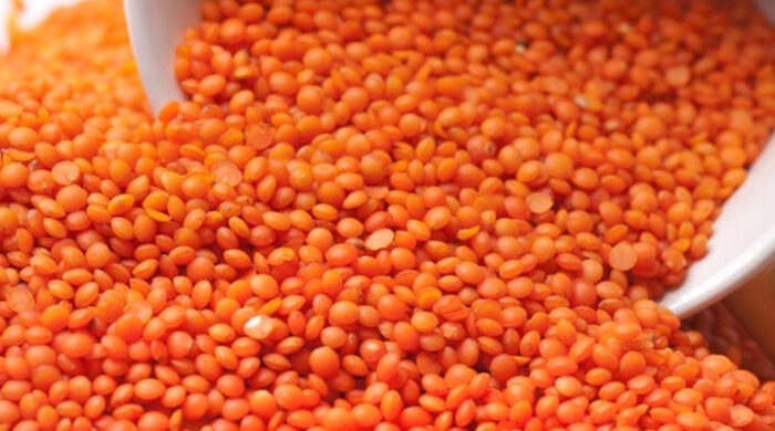 টিসিবির জন্য ১০ হাজার টন মসুর ডাল অনুমোদন