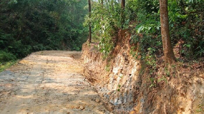 সংরক্ষিত বনে পাকা সড়ক, বাড়ছে দখলের শঙ্কা