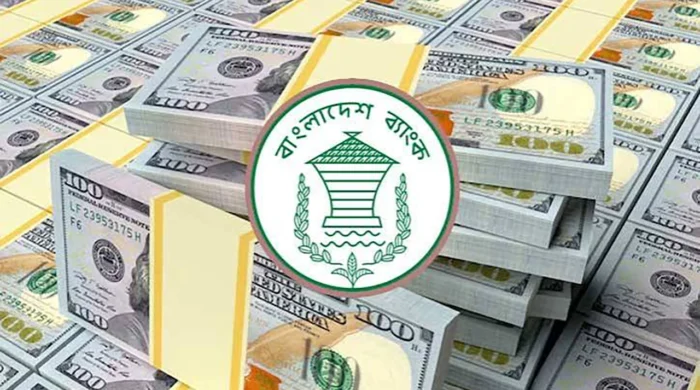 ৩৬ বিলিয়ন ডলারের রিজার্ভে নতুন আশার আলো