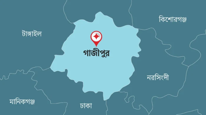 শ্রীপুরে জলাবদ্ধ গর্তে ডুবে দুই শিশুর মৃত্যু