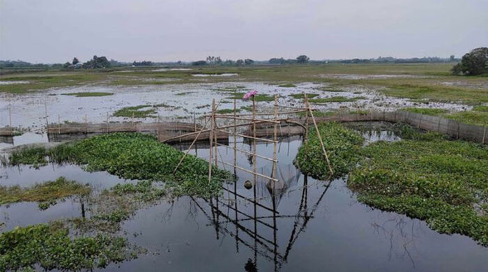 আড়িয়াল খাঁ নদের ৫ কিমিতে ২০ জালের বাঁধ, বিপন্ন মাছ