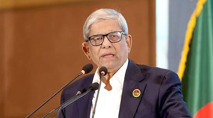 ফ্যাসিবাদী শাসনে প্রতিষ্ঠান ধ্বংস হয়েছে: রাষ্ট্রপতি