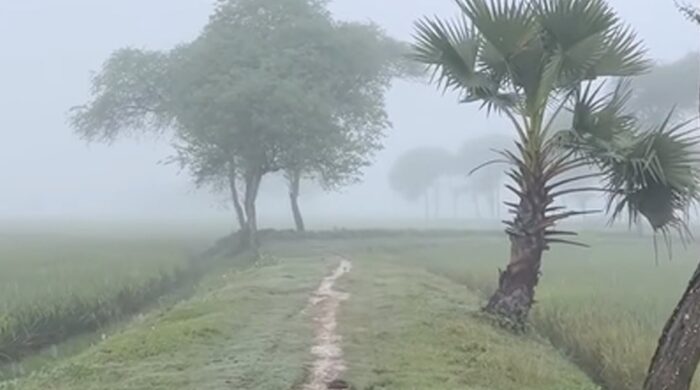 পঞ্চগড়ে তাপমাত্রা ১৬ ডিগ্রিতে, বাড়ছে শীতের আমেজ